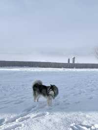 私藏雪景拍照聖地香格里拉民宿