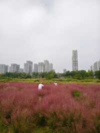 南京江心洲遛娃|真的已經到了next level