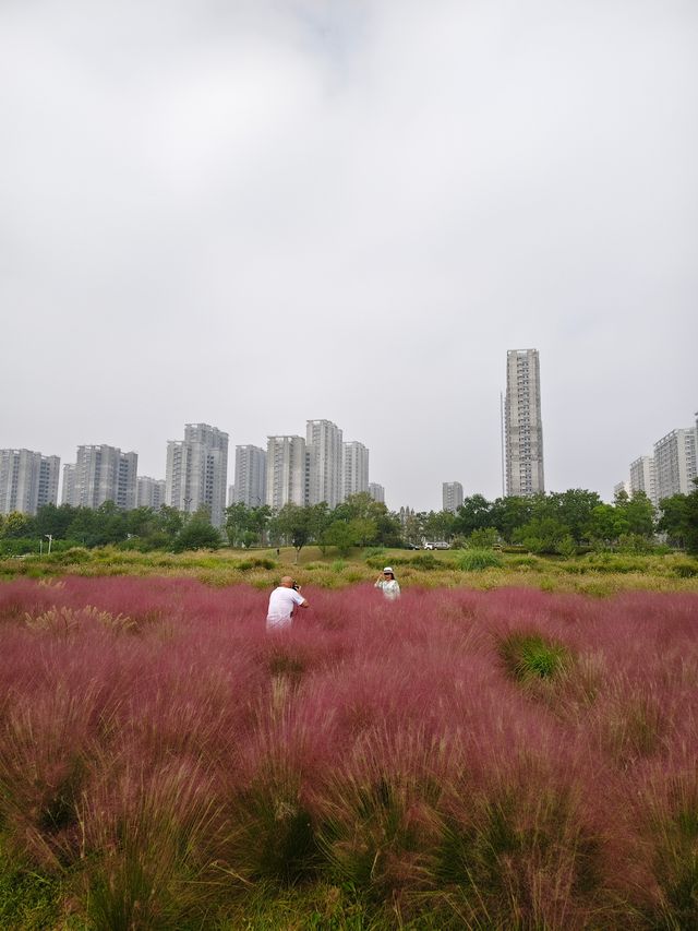 南京江心洲遛娃|真的已經到了next level 南京江心洲遛娃|真的已經到了next level