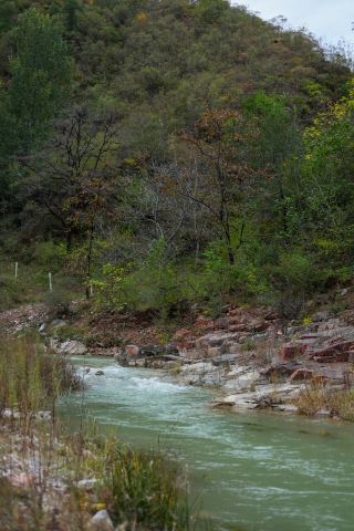 You can pick apples and enjoy free red leaf viewing in the wild mountains of Shijiazhuang