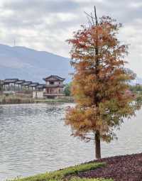滇東秘境｜曲靖金秋山水文化遊全攻略