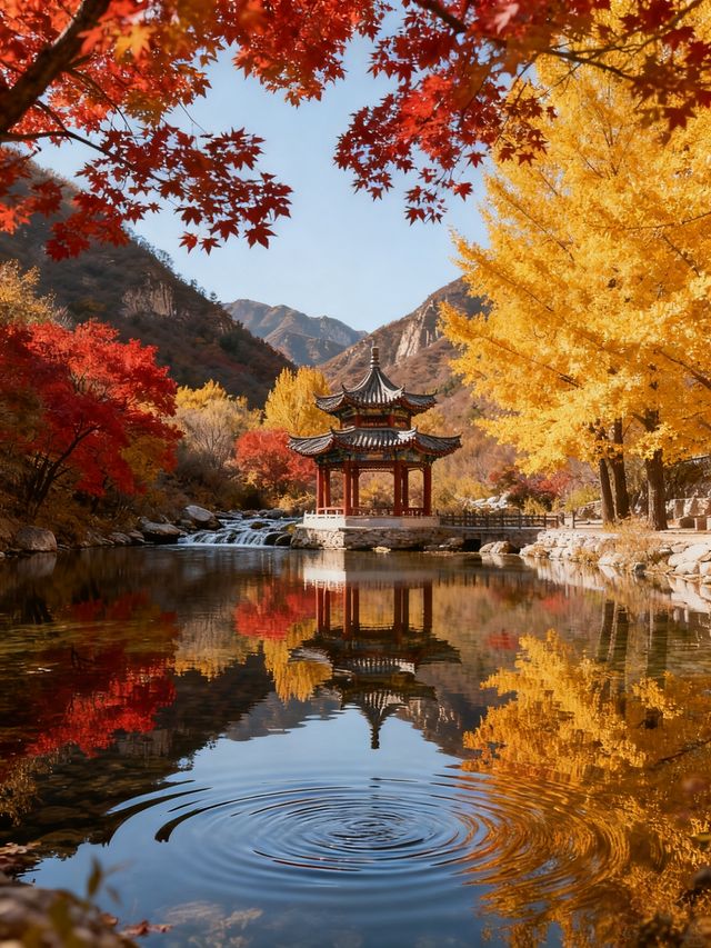 秋日封神路線清單！2025小眾秘境+出片攻略