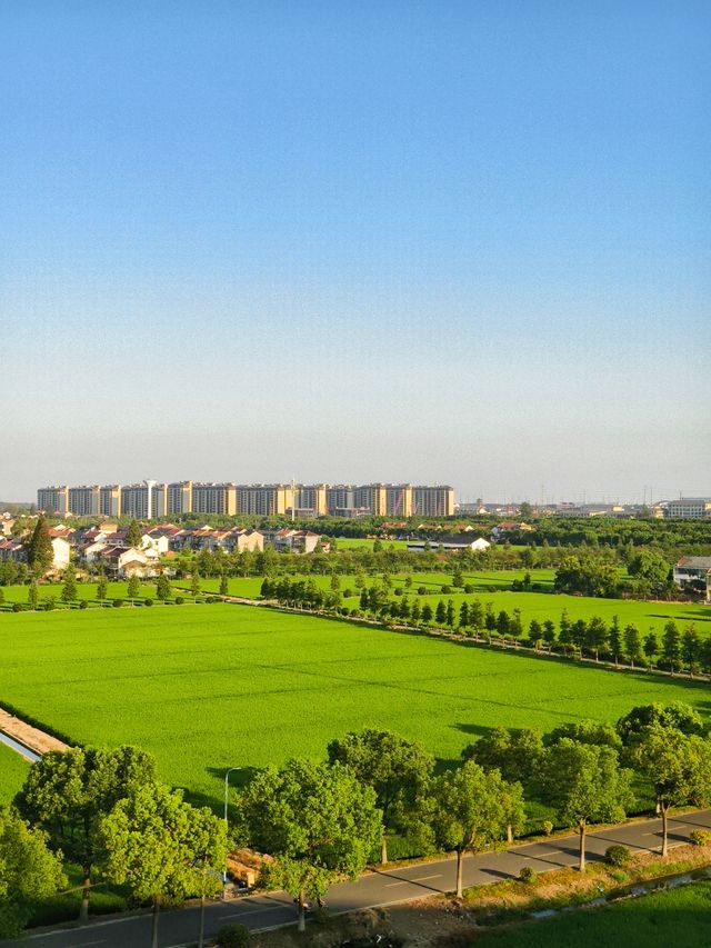 上海市    松江區 上海市    松江區