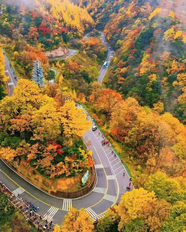 堪比香山紅葉的地方—四川光霧山
