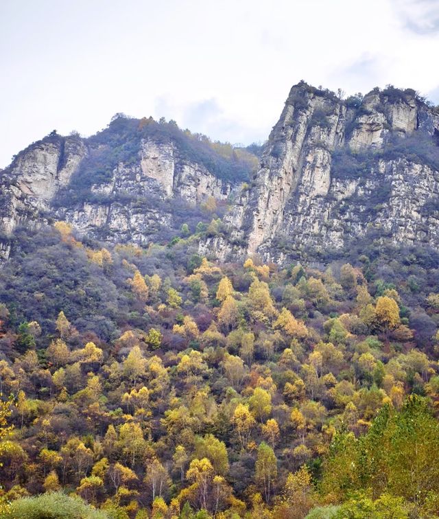 阜平山的深秋美景解鎖啦｜把北方的美景變成了油畫