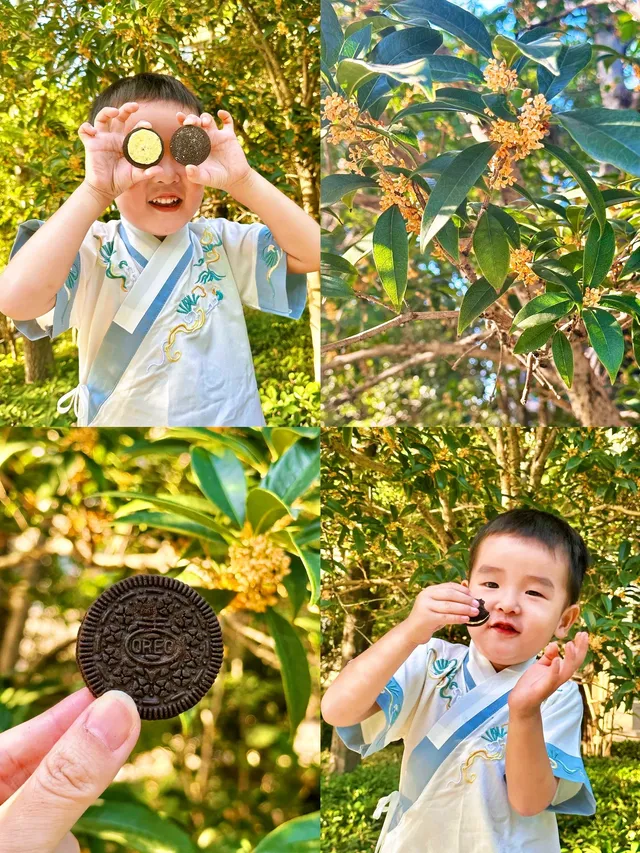 蘇州賞秋走進油畫中個秋天的祕境