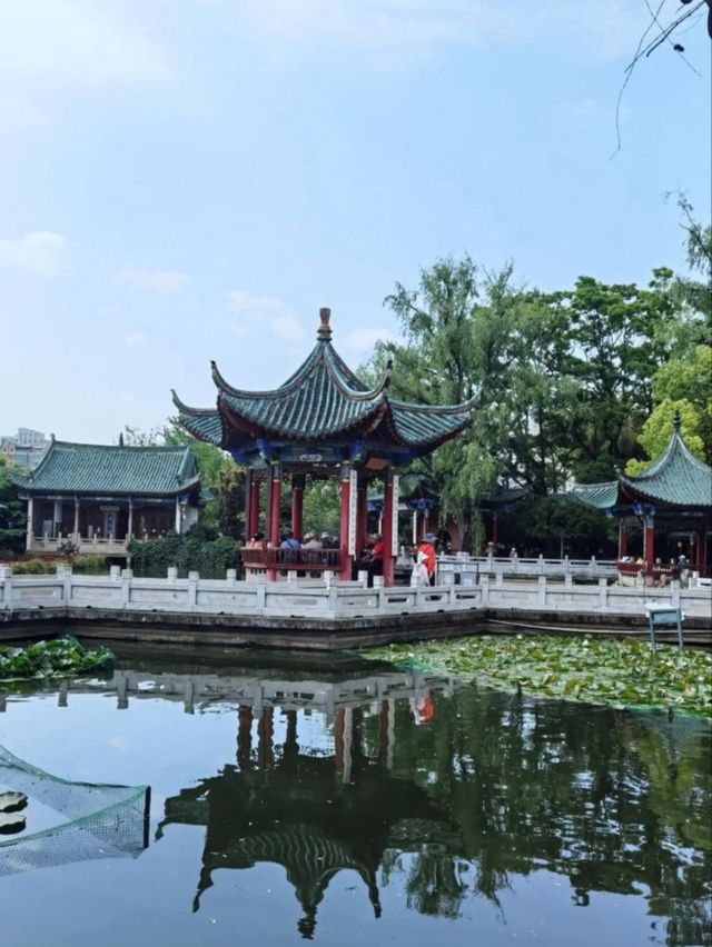 別把當中轉站！48小時解鎖昆明神仙玩法