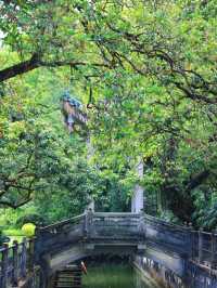 廣東江門世！界！級！的拍照聖～地