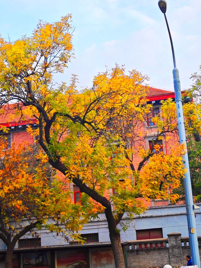 北京賞秋最美街道
