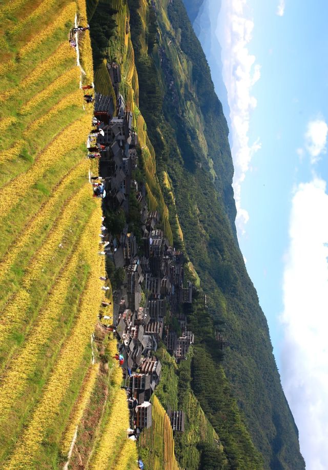 平安寨,龍脊梯田;田間閣,秋意無雙 平安寨,龍脊梯田;田間閣,秋意無雙