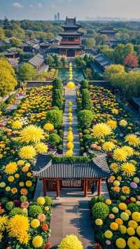 “百菊爭鋒!萬歲山驚現『花中江湖』,這波秋日浪漫藏不住了!”