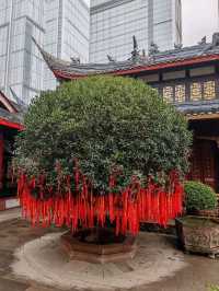 กราบไหว้วัดดังแห่งเฉิงตู Daci Temple@Chengdu