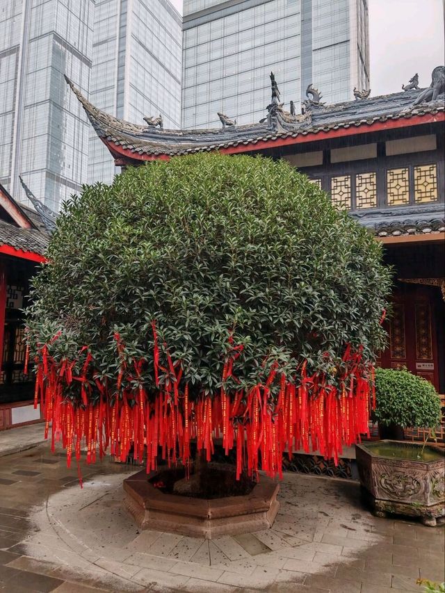 กราบไหว้วัดดังแห่งเฉิงตู Daci Temple@Chengdu