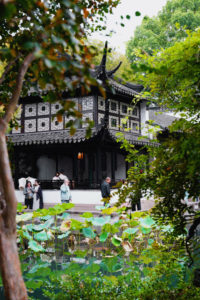 江南秋色藏留園讓人忍不住愛了又愛! 江南秋色藏留園讓人忍不住愛了又愛!