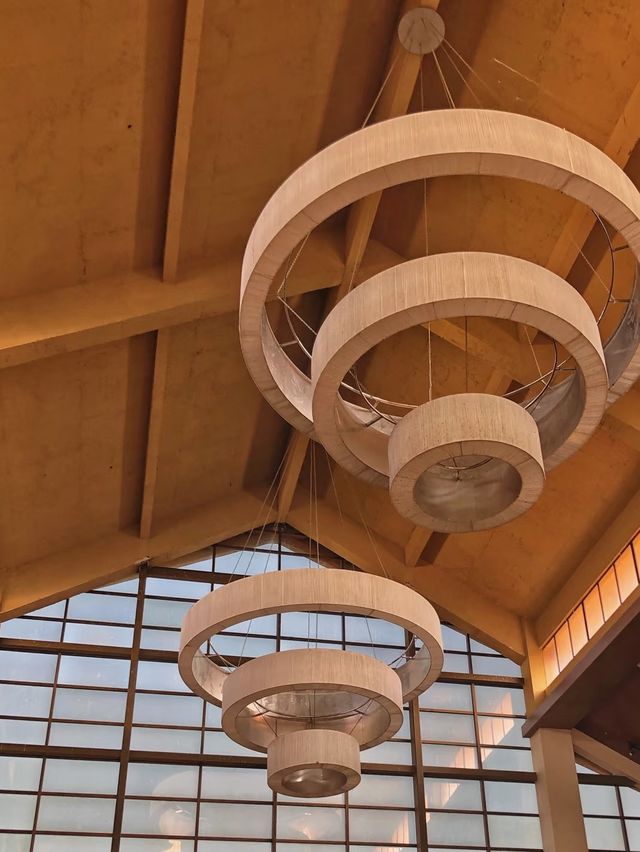 帶毛孩子泡私湯!這家溫泉酒店太可了 帶毛孩子泡私湯!這家溫泉酒店太可了