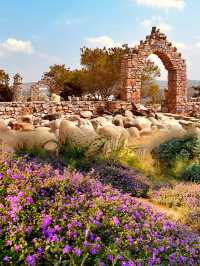 雲南建水|闖入摩洛哥異域與彩色螞蟻王國