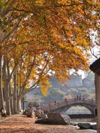 叢台公園の秋日封神操作！3分鐘吃透限定浪漫