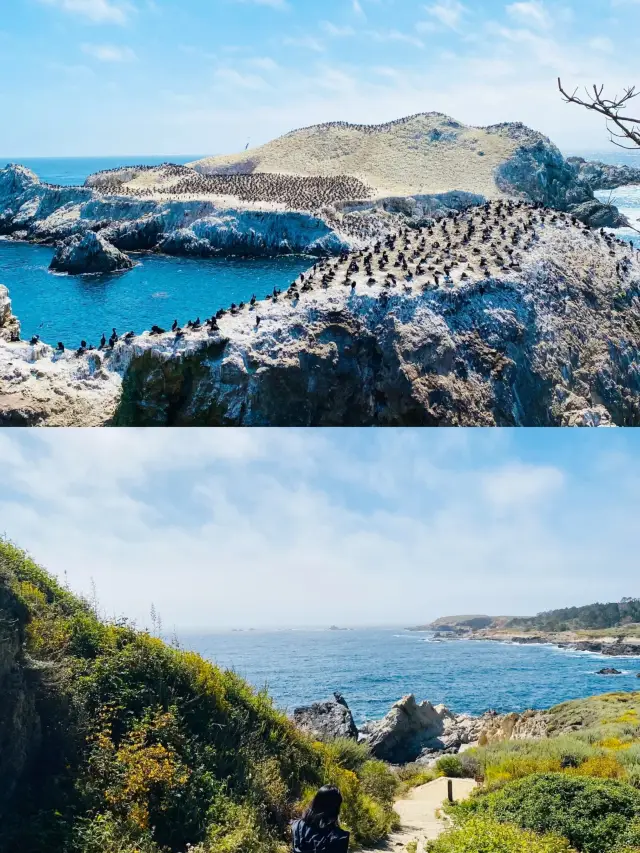 Complete Yosemite National Park Guide: Must-Know Tips to Avoid Pitfalls! Four Seasons Activities + Photo Spots Revealed