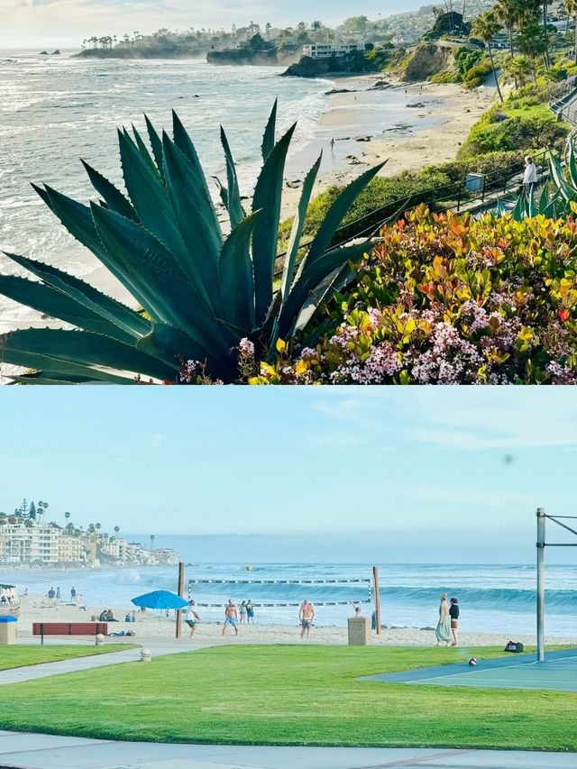 加州日記｜Laguna Beach不踩雷攻略