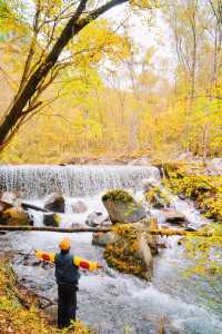 接下來的川西小九寨！堪稱秋天旅行天花板.. 限時1個月！！川西小九寨「松坪溝」秋色巔峰期來了！ 