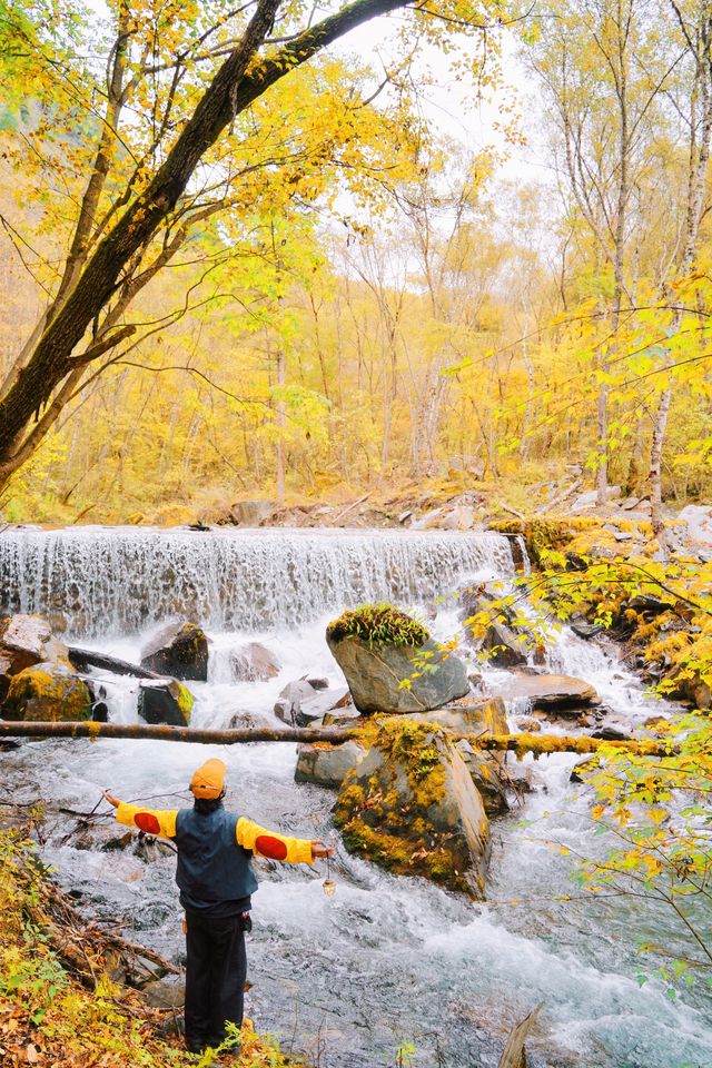 接下來的川西小九寨！堪稱秋天旅行天花板.. 限時1個月！！川西小九寨「松坪溝」秋色巔峰期來了！ 