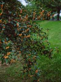鯉魚洲丨這鯉湖邊夜景,治癒我所有內耗