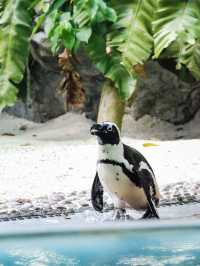 秋天新加坡包車遊美到失語