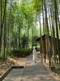 赤水竹海國家森林公園