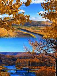 大興安嶺森林探秘