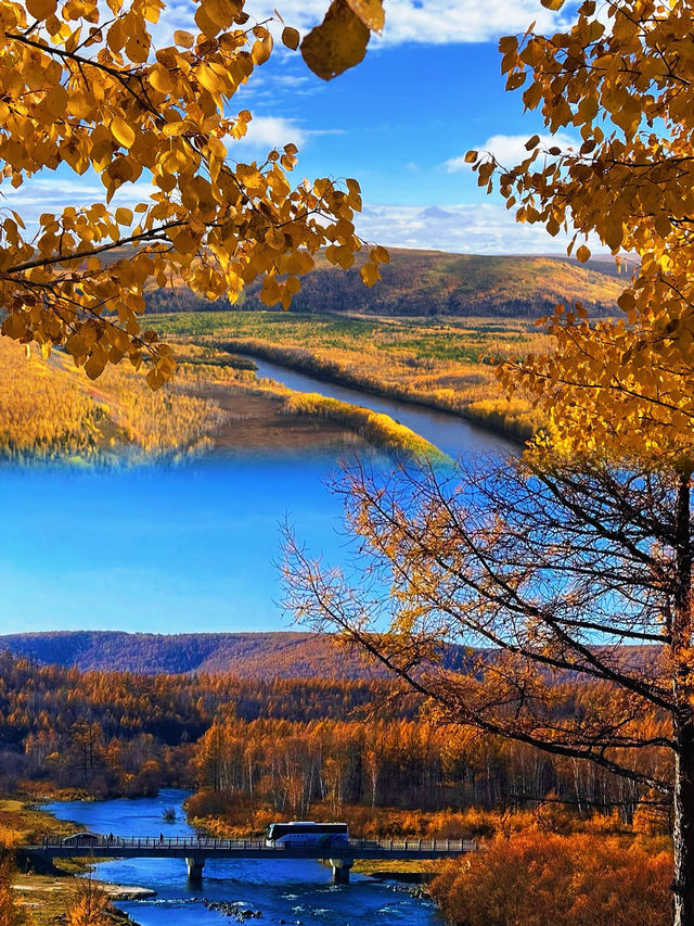 大興安嶺森林探秘