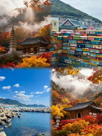 After staying in Busan for three days, my spending habits completely collapsed