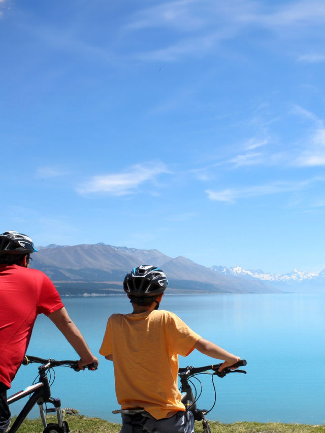 寒假/春節小團遊紐西蘭|南島觀鯨+賞峽灣