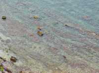 桔釣沙-鹿嘴山莊保姆級一日遊攻略