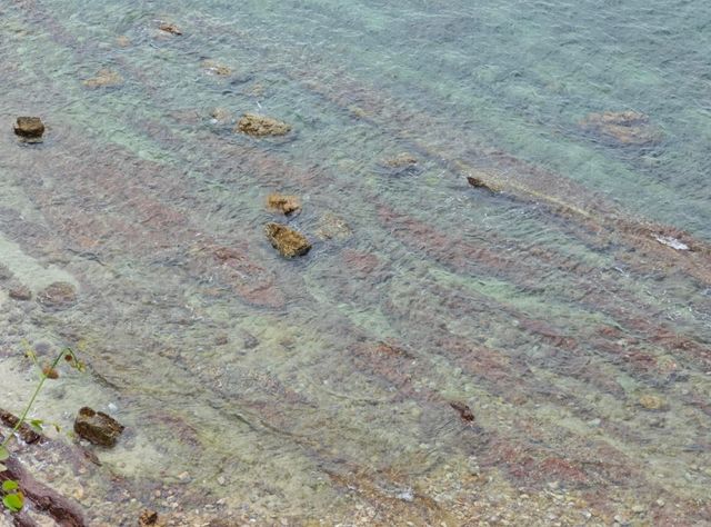 桔釣沙-鹿嘴山莊保姆級一日遊攻略