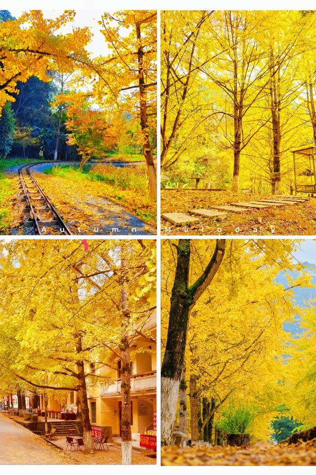 廣東秋日限定深秋必去南雄秘境