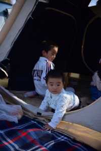 解鎖金陵秋日限定浪漫