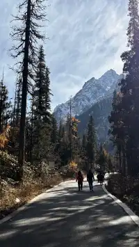 想去綿陽王朗？看我這篇就對了！