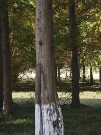 鹽城｜江蘇肯尼亞名不虛傳