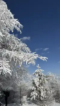 不是北歐，勝似北歐！雪後樺皮嶺