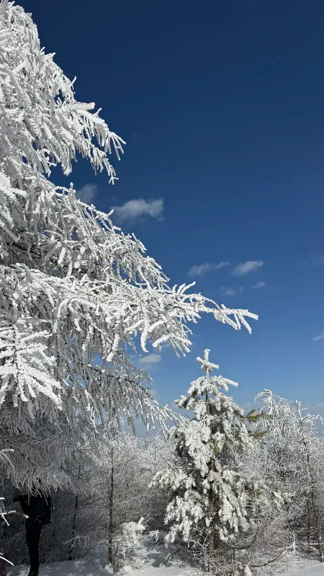 不是北歐，勝似北歐！雪後樺皮嶺