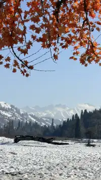 成都秋假 新疆賽里木湖4天三晚攻略來啦