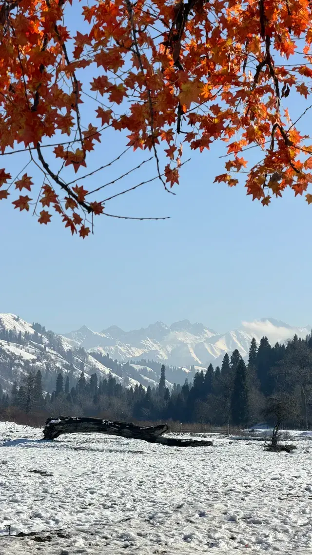 成都秋假 新疆賽里木湖4天三晚攻略來啦 成都秋假 新疆賽里木湖4天三晚攻略來啦