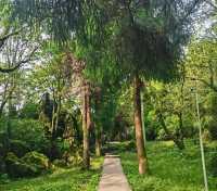 20℃冰鎮夏天!重慶1.5h直達的秘境瀑布,亞洲最大洞中奇觀