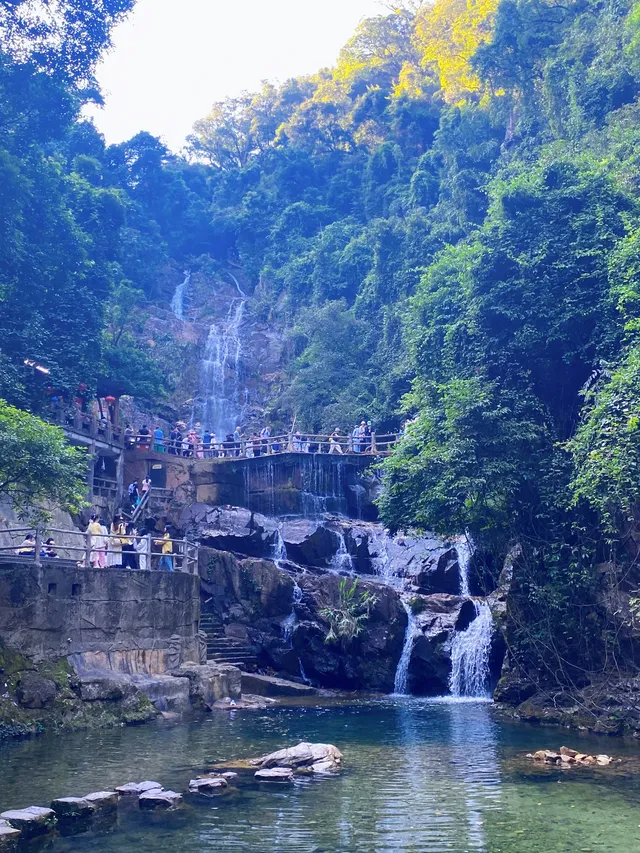 肇慶·鼎湖山 肇慶·鼎湖山