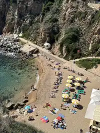 4個被低估的海島盲盒玩法