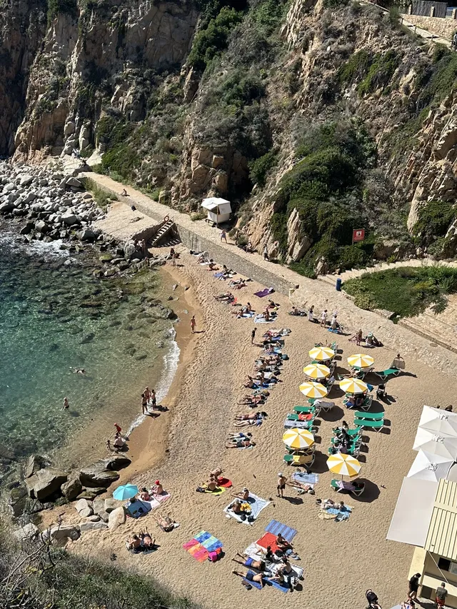 4個被低估的海島盲盒玩法