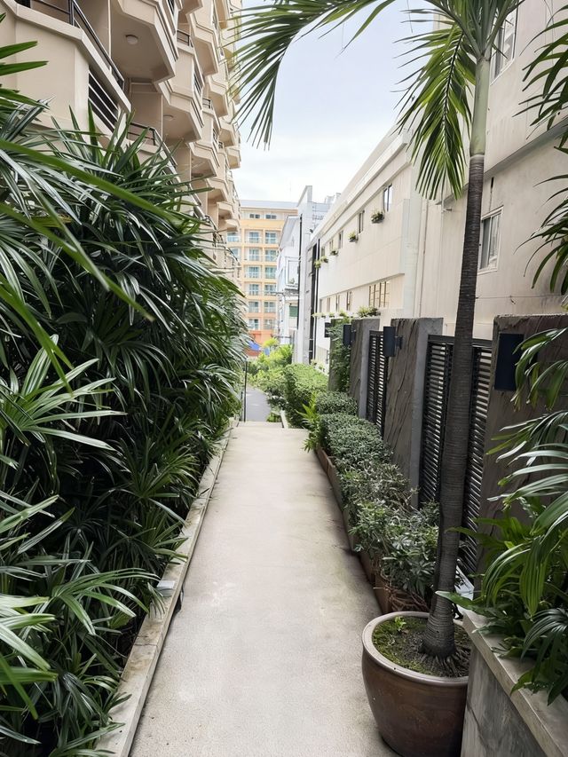 芭提雅陽光酒店｜解鎖海島城市的熱帶風情旅居