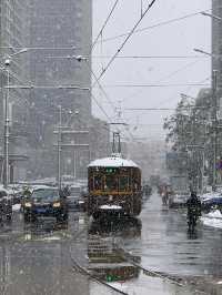 大連12月旅遊全攻略|雪裡裹浪的冬日童話