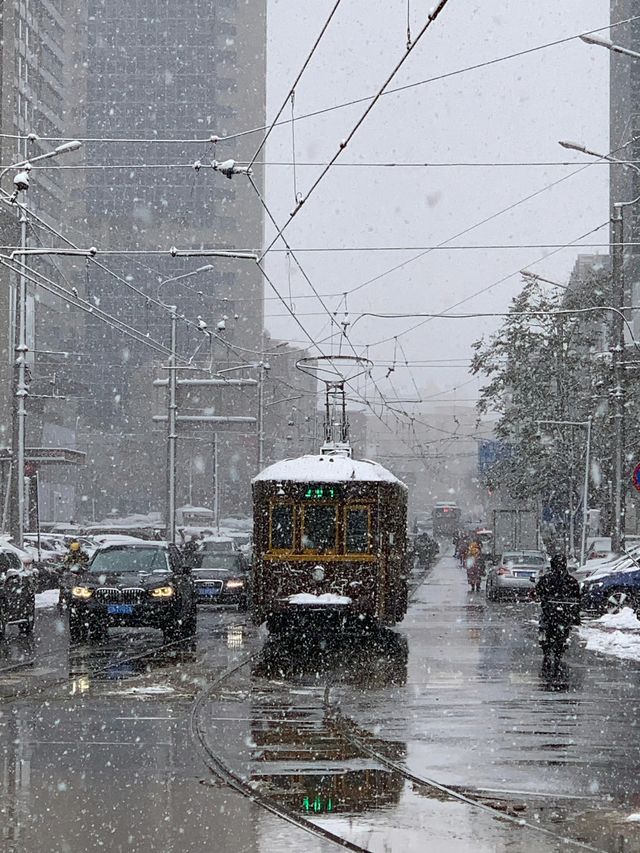 大連12月旅遊全攻略|雪裡裹浪的冬日童話 大連12月旅遊全攻略|雪裡裹浪的冬日童話