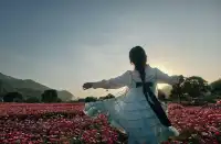 雲浮前鋒鎮|冬季闖進粉色格桑花海